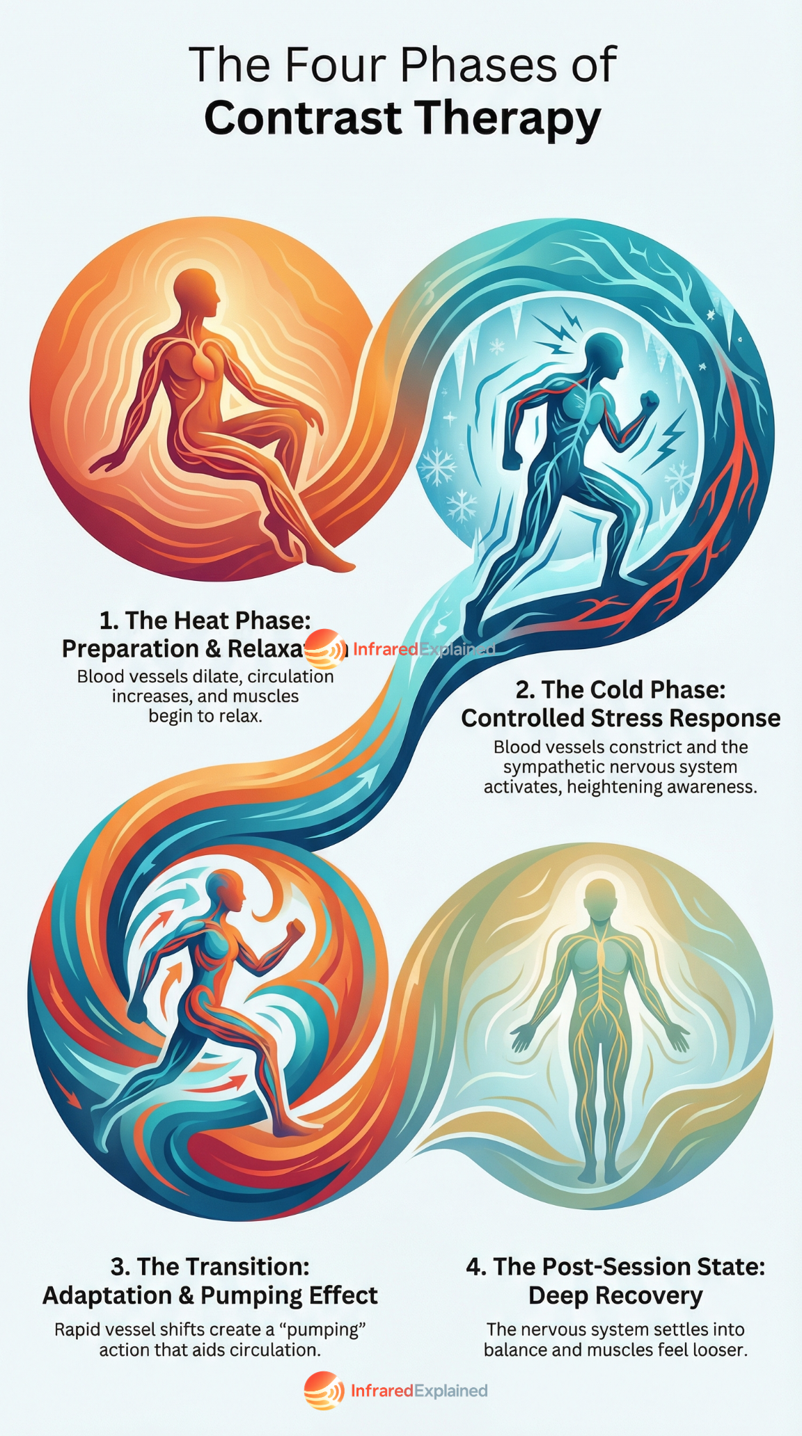 What happens in the body during a contrast therapy session? Learn how infrared heat and cold plunge exposure affect circulation, inflammation, and the nervous system through each recovery phase.